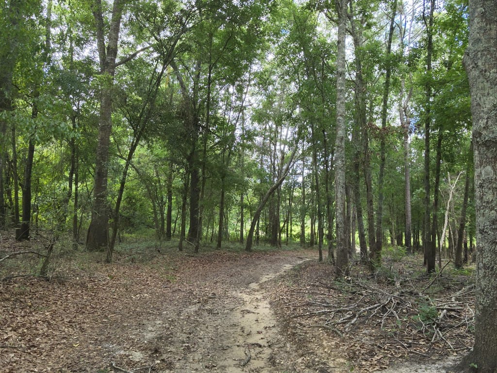 tbd County Line Road, Pelham, GA, 31779