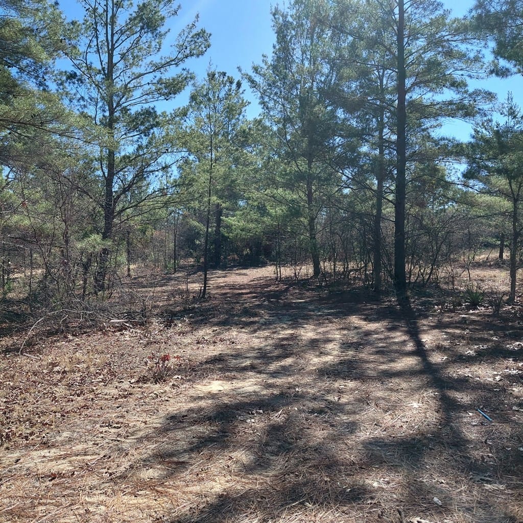 6 Jim Allen Road, Box Springs, GA, 31801 — Photo 2