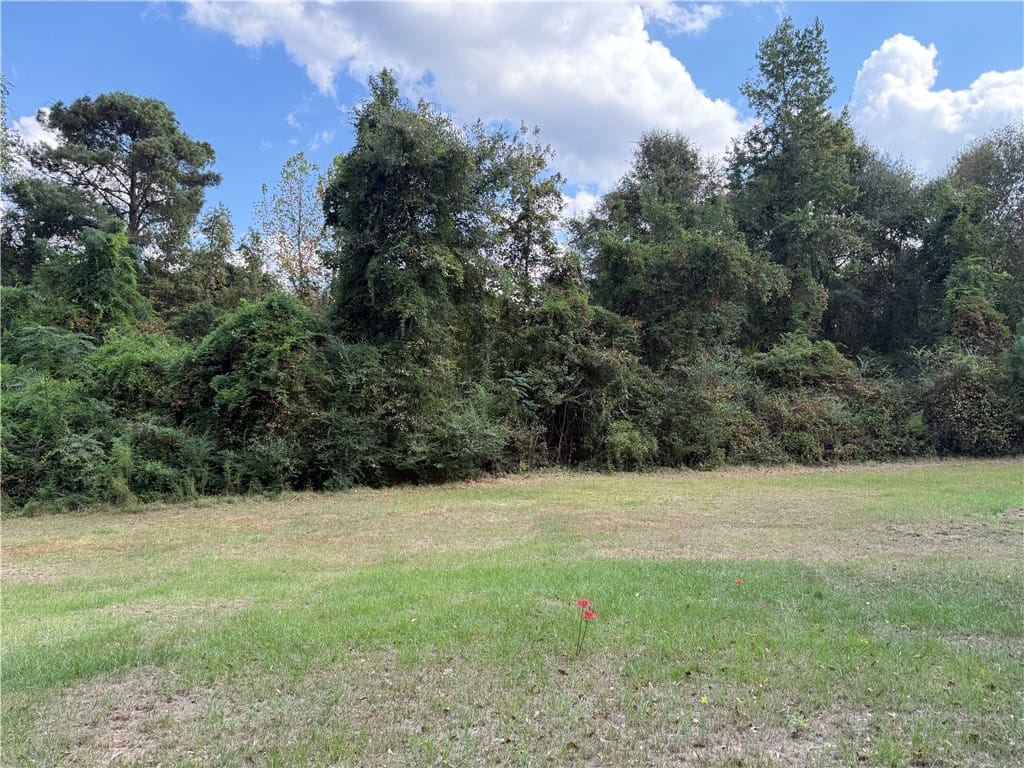 0 AL HIGHWAY 51, Beauregard, AL, 36804 — Photo 2