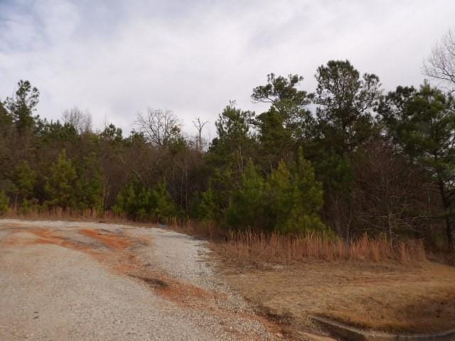 0 22nd Ave, Phenix City, AL, 36867 — Photo 2