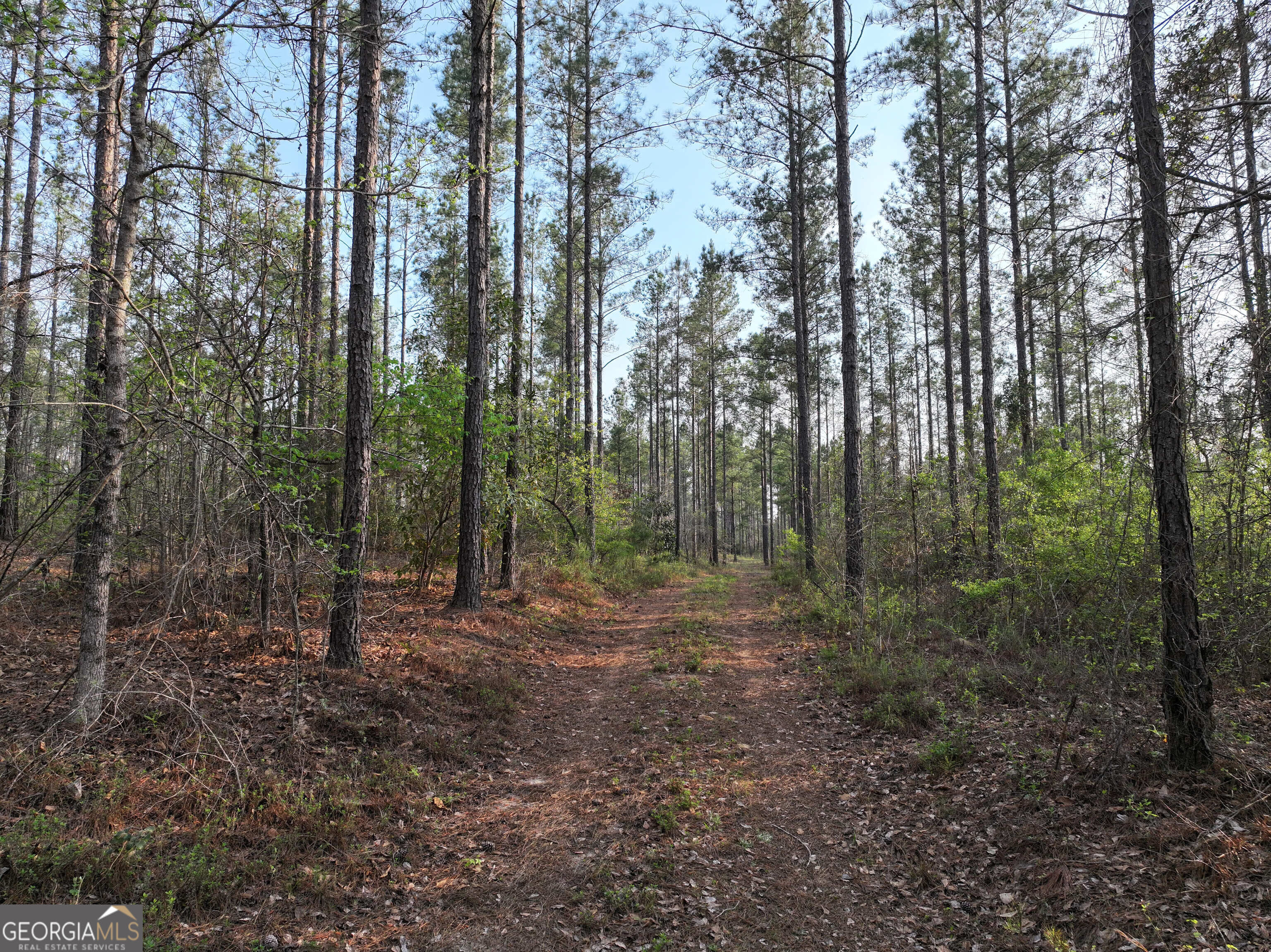195 County Line, Lumpkin, GA, 31815