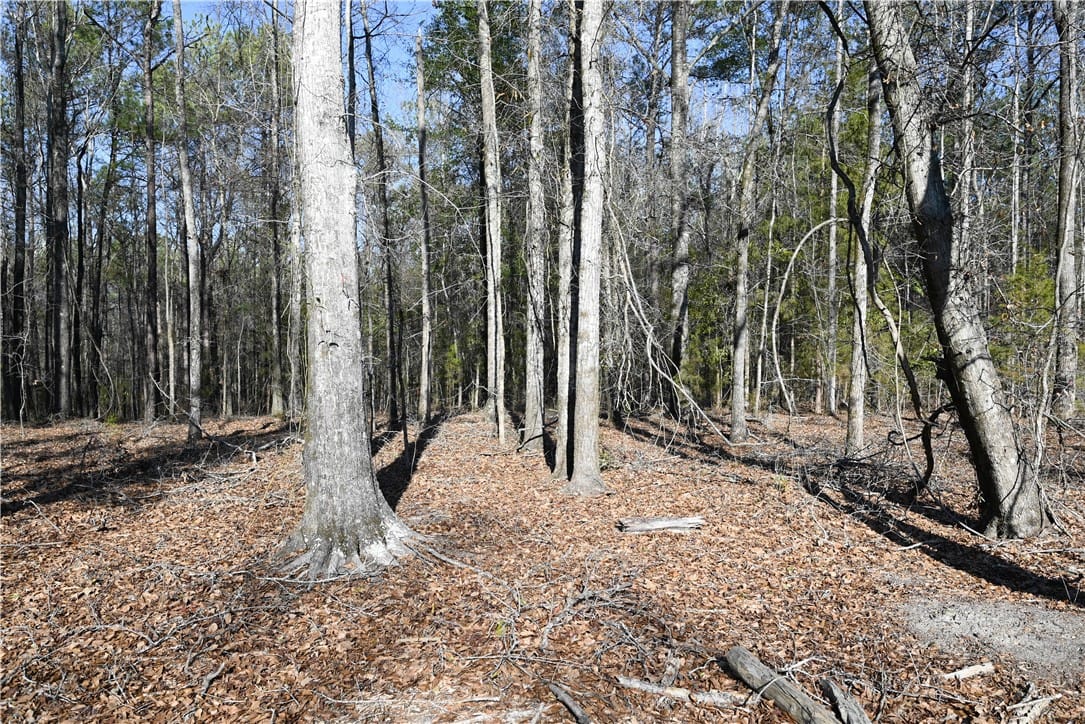 3695 RIDGELINE, Auburn, AL, 36830 — Photo 3