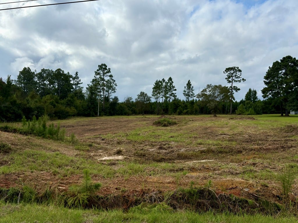 101 Dogwood Ln, Albany, GA 31705, USA