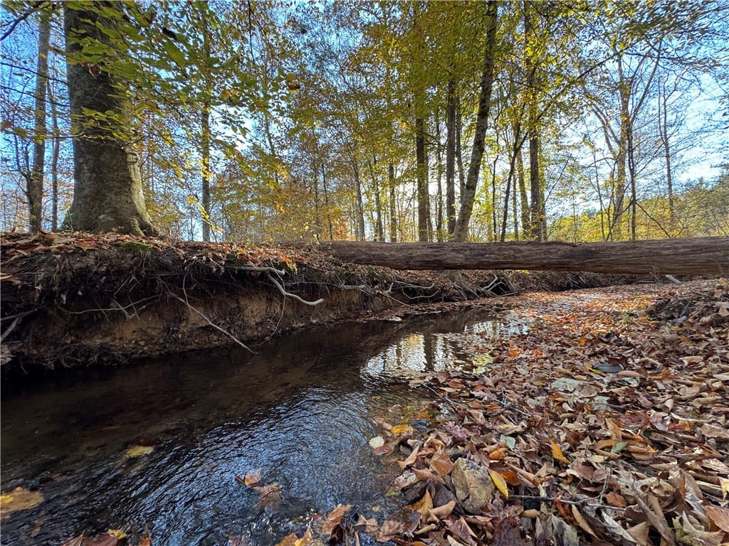 0 GERMANY'S FERRY, Daviston, AL, 36256