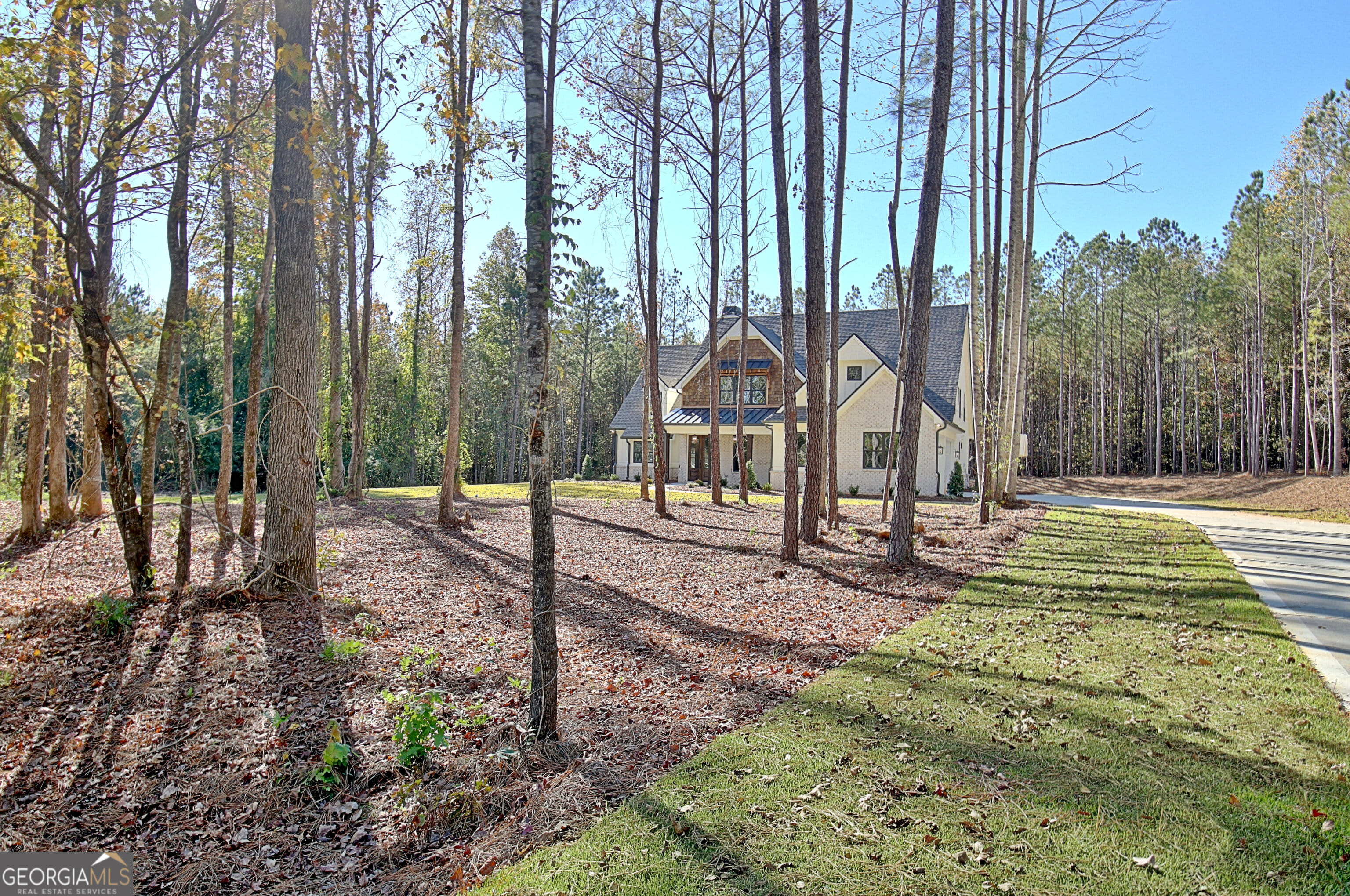 196 Bob Smith Rd, Sharpsburg, GA 30277
