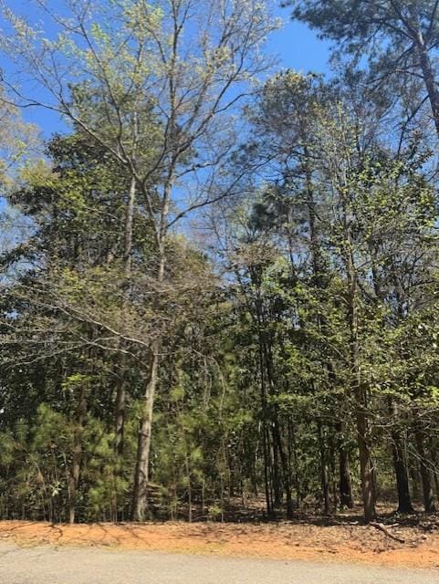 410 Highland Park Loop, Pine Mountain, GA, 31822 — Photo 3