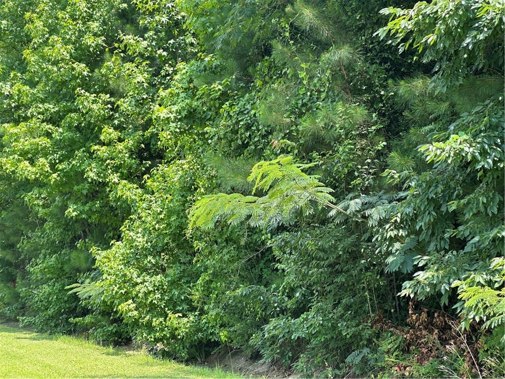 NA Pleasant Springs Drive, Tuskegee, AL, 36083