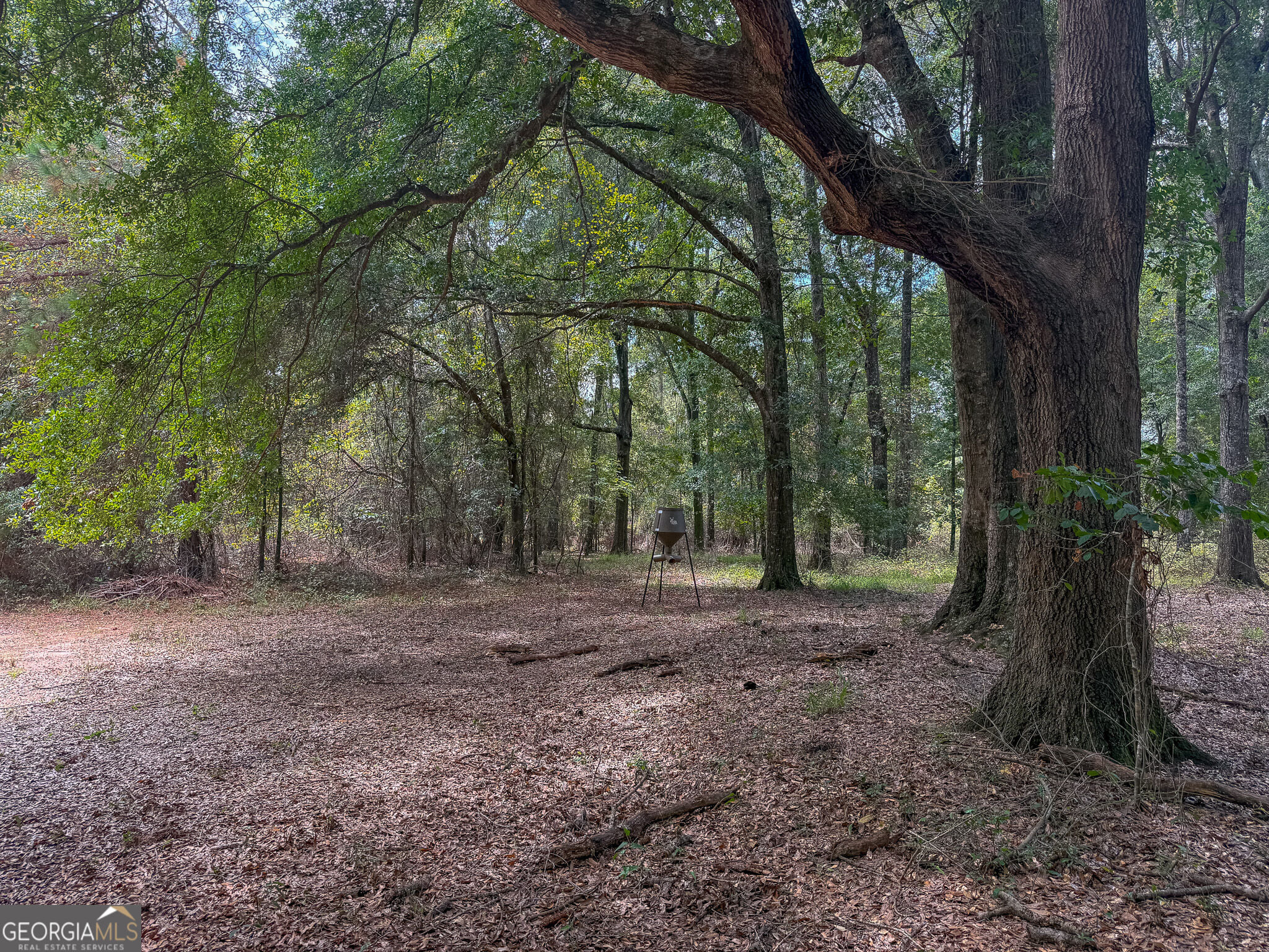 4570 Spanns Mill Rd, Preston, GA 31824, USA