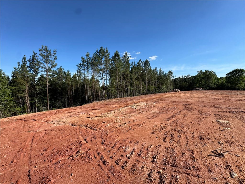 2691 GREENBRIAR, Auburn, AL, 36879, Cleared land with mature trees borders offers a pr