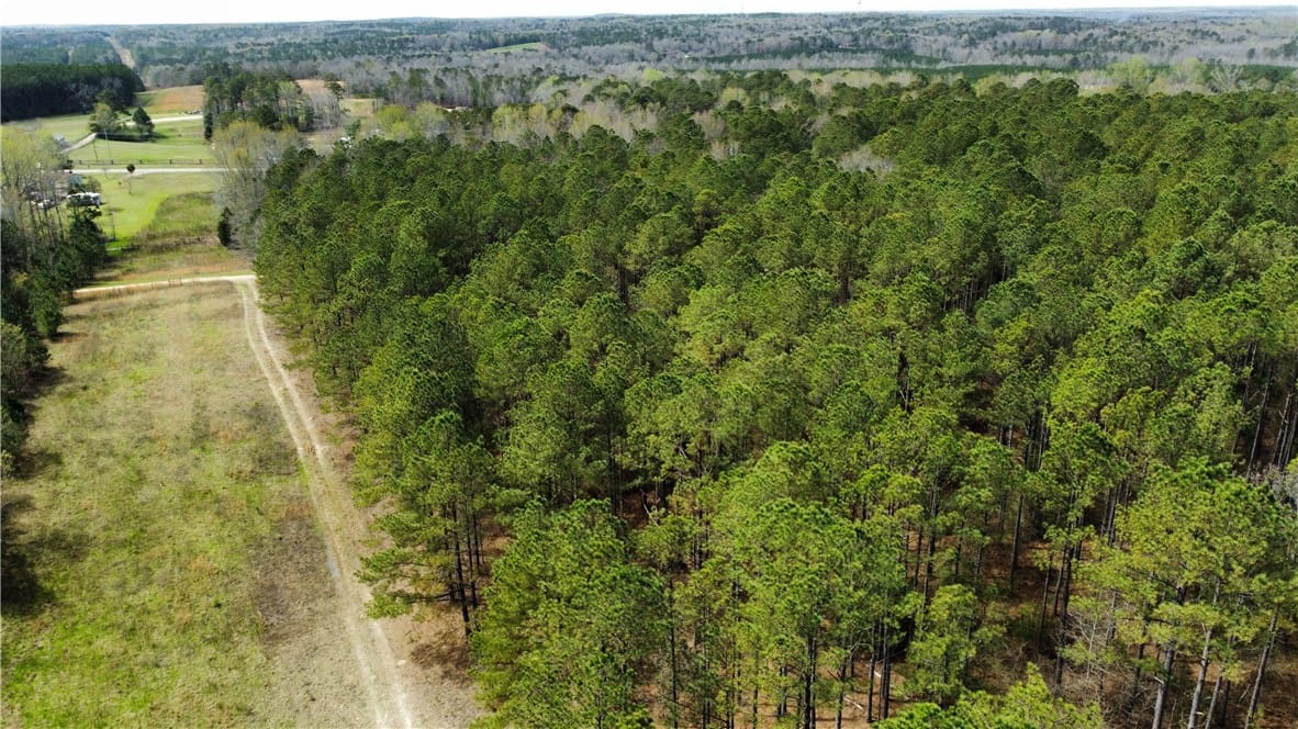 0 LEE ROAD 166, OPELIKA, AL, 36804