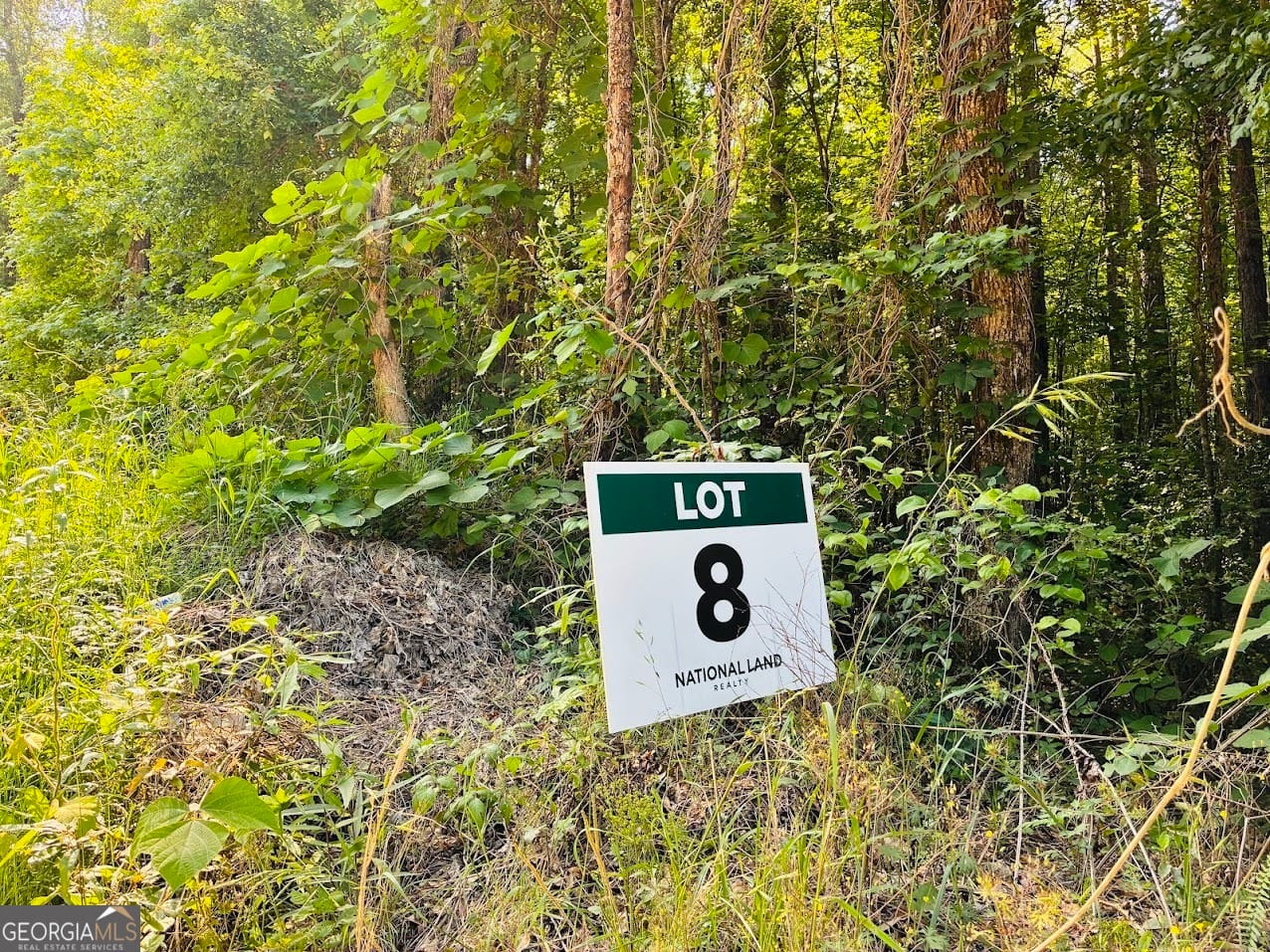 0 Creek #lot 8, Ashland, AL, 36251