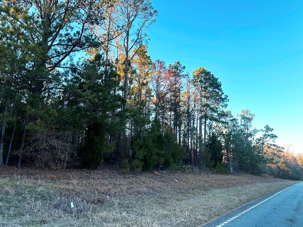 1051 Highway 0039, Georgetown, GA, 39854 — Photo 3
