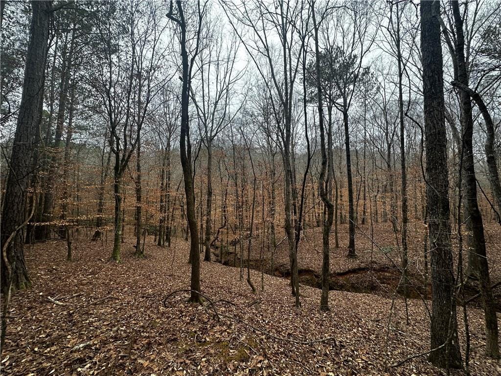 0 Lee Road 367, Valley, AL, 36854