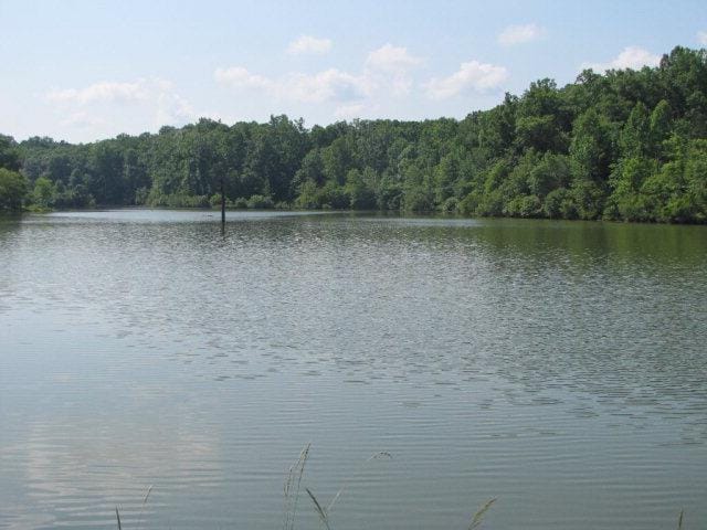 7715 Lynch Rd, Midland, GA 31820