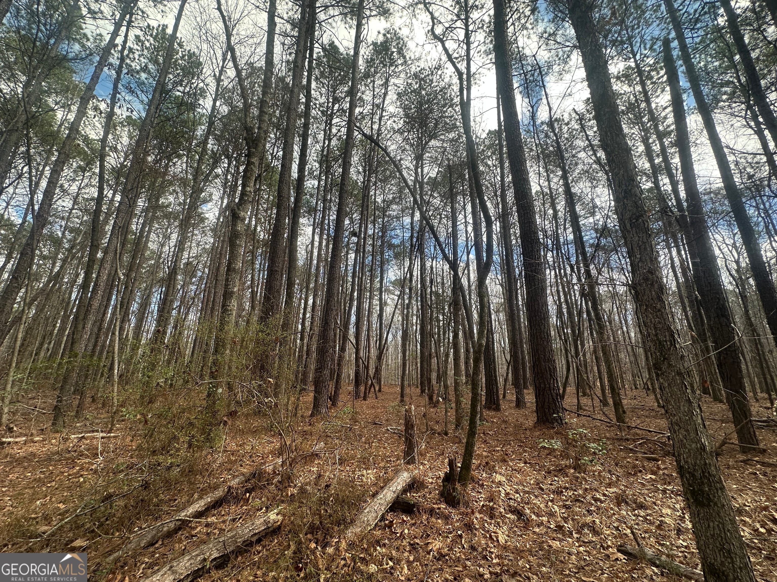 0 Gibson, Talbotton, GA, 31827