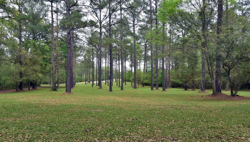 183 Creekridge Drive, Leesburg, GA, 31763