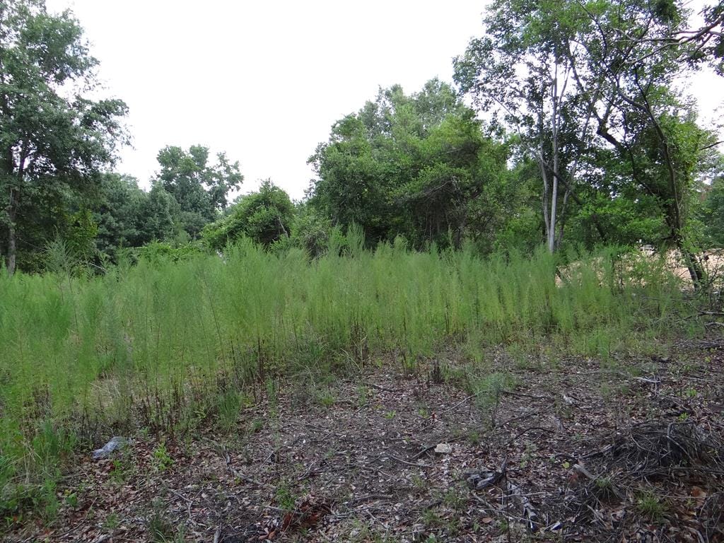 0 Mitchell Ridge Drive, Columbus, GA, 31907