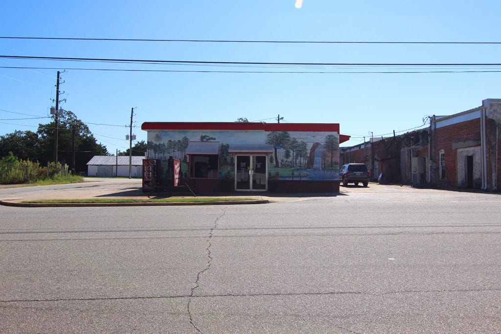 1238 Wall Street, Richland, GA, 31825 — Photo 2