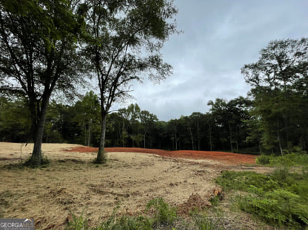 LOT 7 Mountain View, Hamilton, GA, 31811