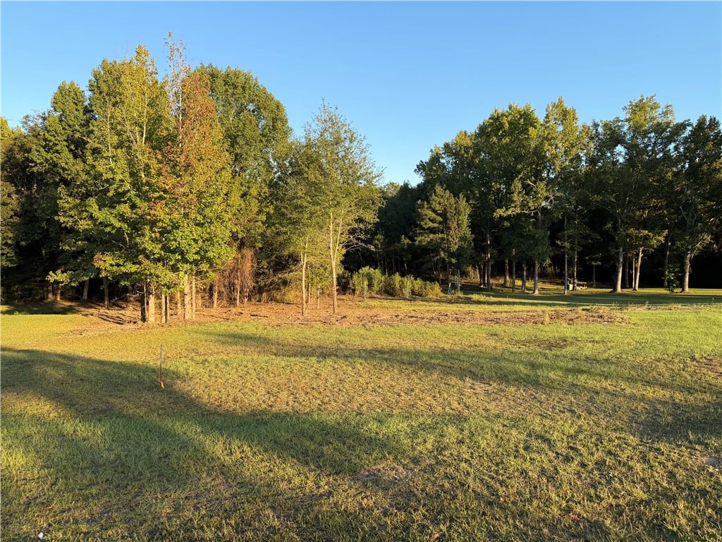0 LEE ROAD 166, Opelika, AL, 36804