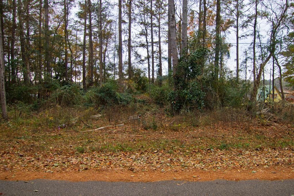0 West Pine Lake Drive, West Point, GA, 31833