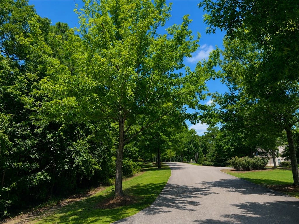 17 Lee Road 2159, Opelika, AL 36804, Beautiful tree lined streets in Blue Ridge S/D