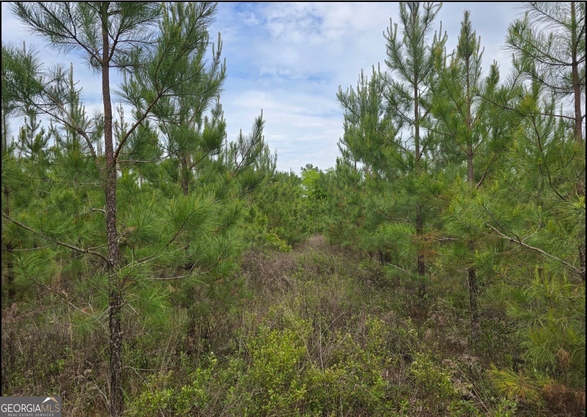 27 Marvin Murphy, Ellaville, GA, 31806