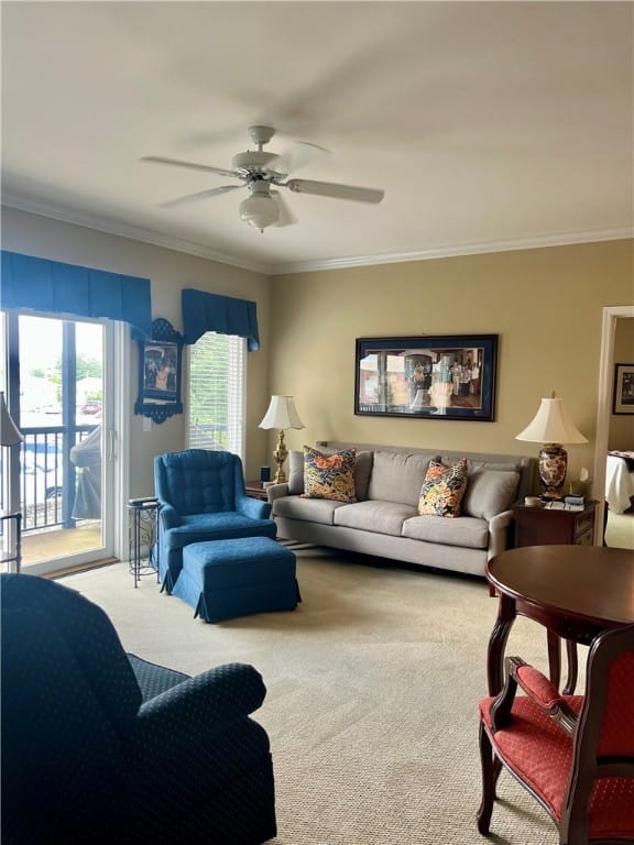 118 North Donahue Drive #202, Auburn, AL, 36832