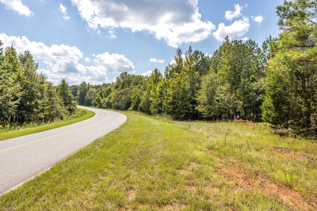 Lot 301 Winfree Road, Hamilton, GA, 31811