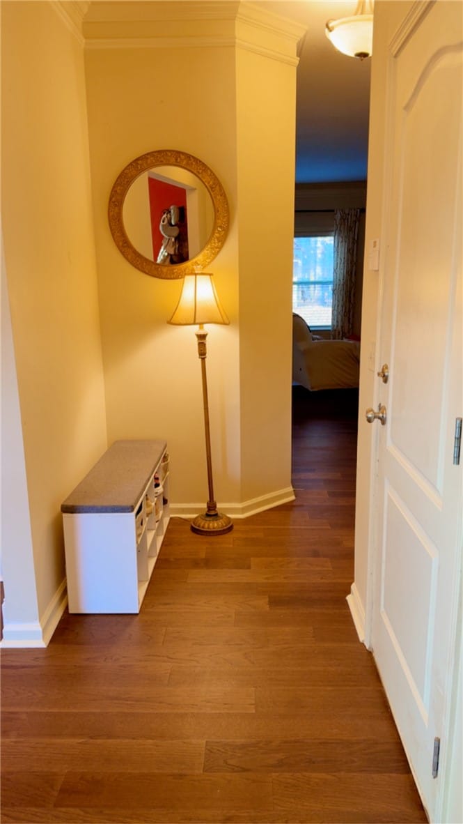 2117 Felicity Lane, Auburn, AL, 36830 — Photo 3