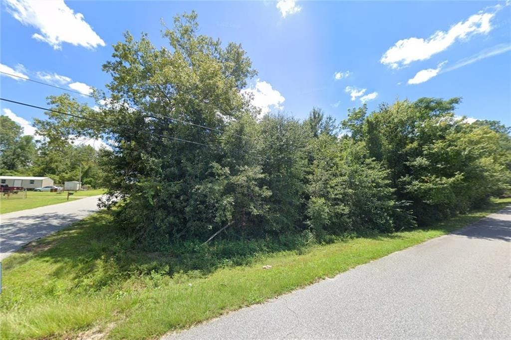 15 Mt Olive Dr, Fort Mitchell, AL 36856