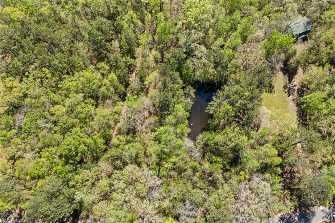 1398 LEE ROAD 45, Opelika, AL, 36804 — Photo 2