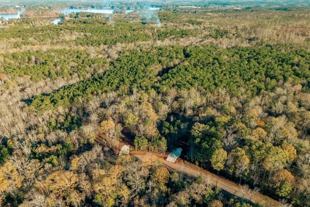 3 Lee Rd 344, Salem, AL 36874, An aerial perspective reveals dense, verdant fores