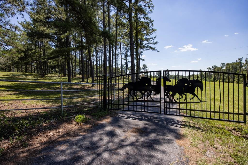 475 Rock Church Rd, Junction City, GA 31812