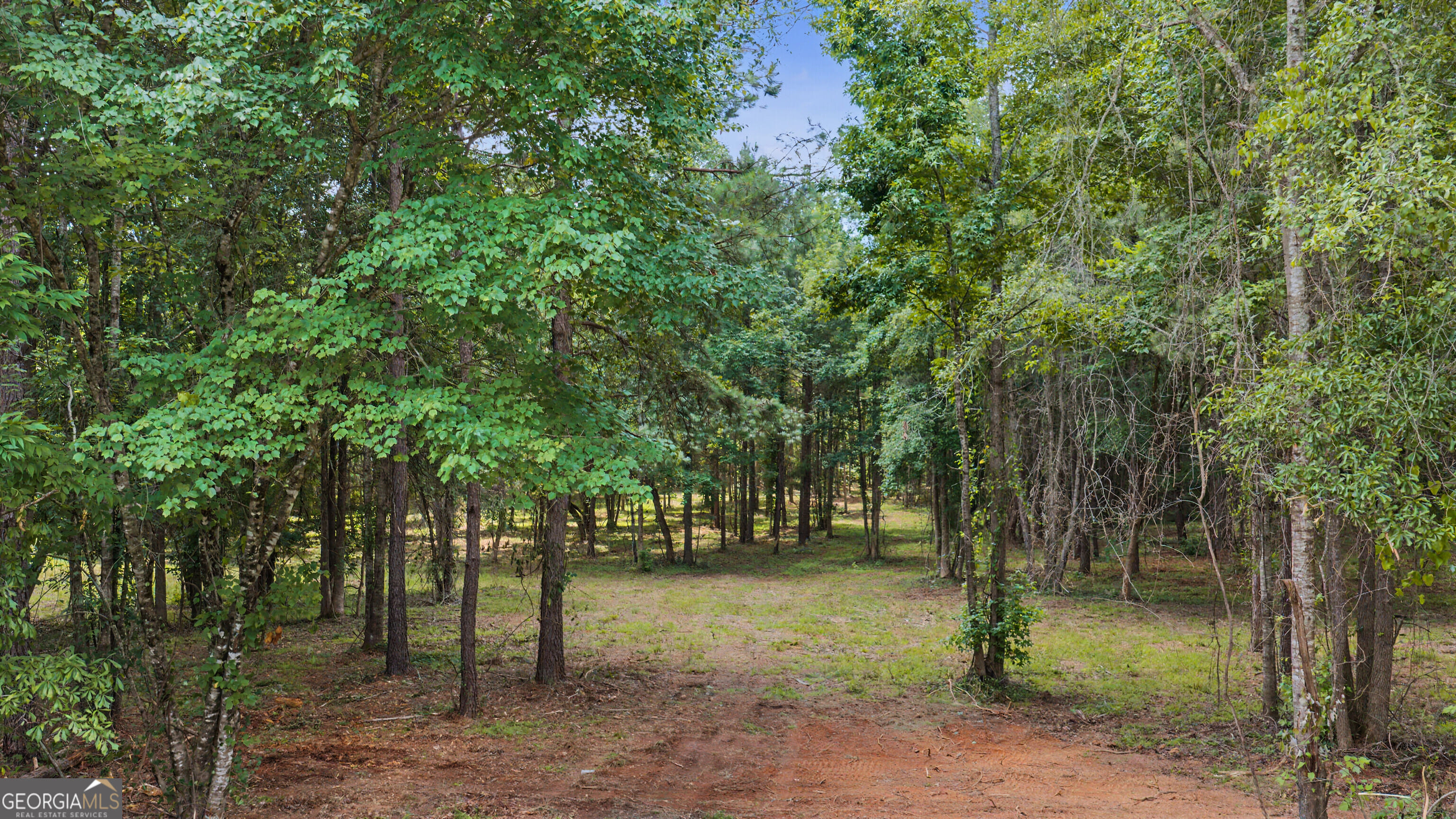 661 Hugh O Neal Rd, Greenville, GA 30222