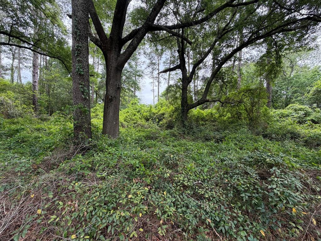 610 Bobbitt Drive, Albany, GA, 31705