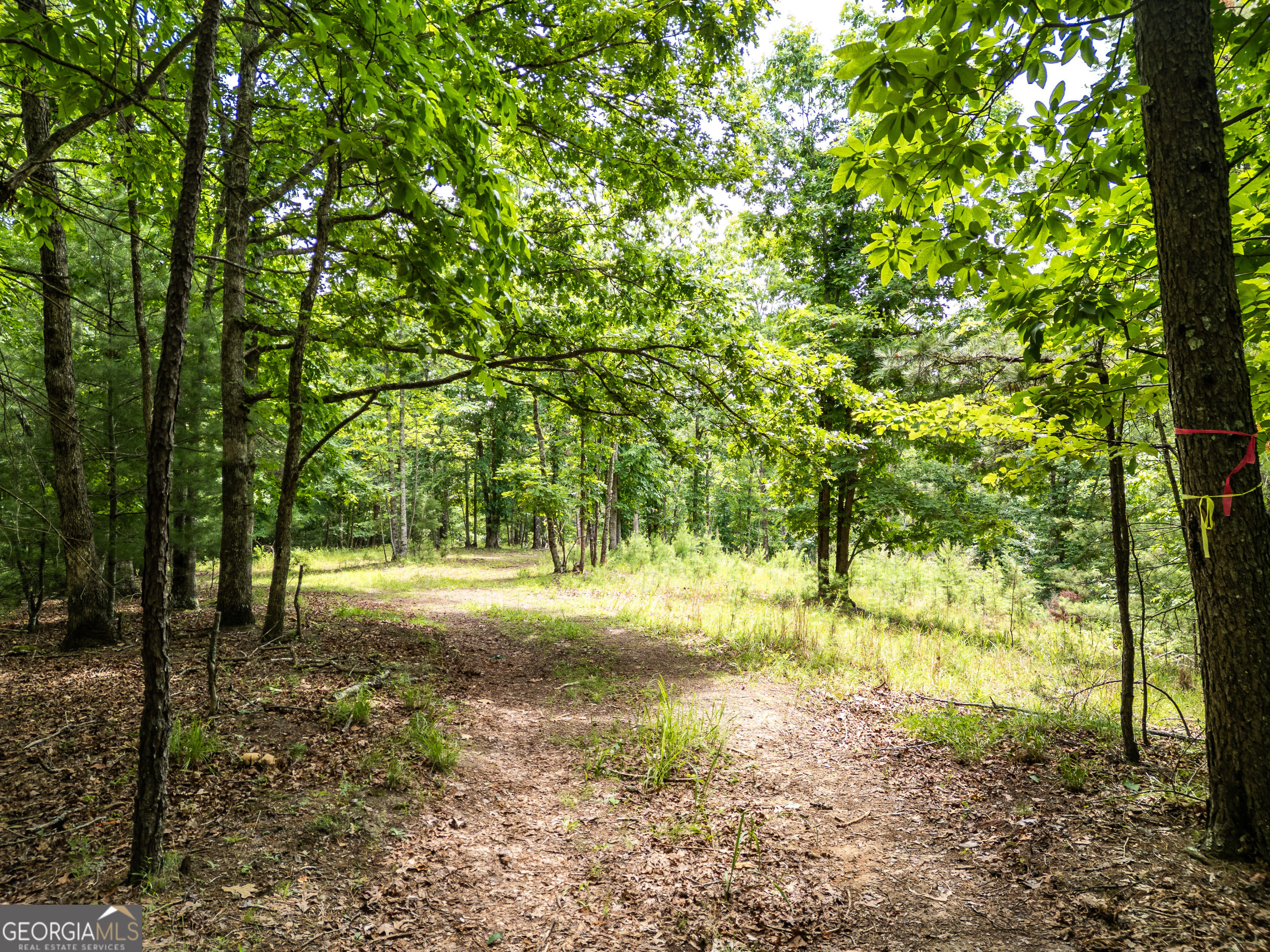 1 Stormy Ridge, Brasstown, NC 20902