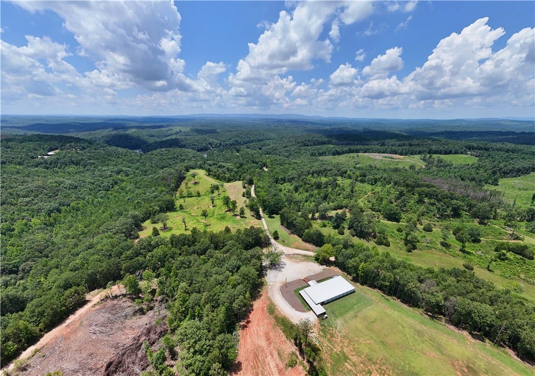 1310 Co Rd 269, Wedowee, AL 36278