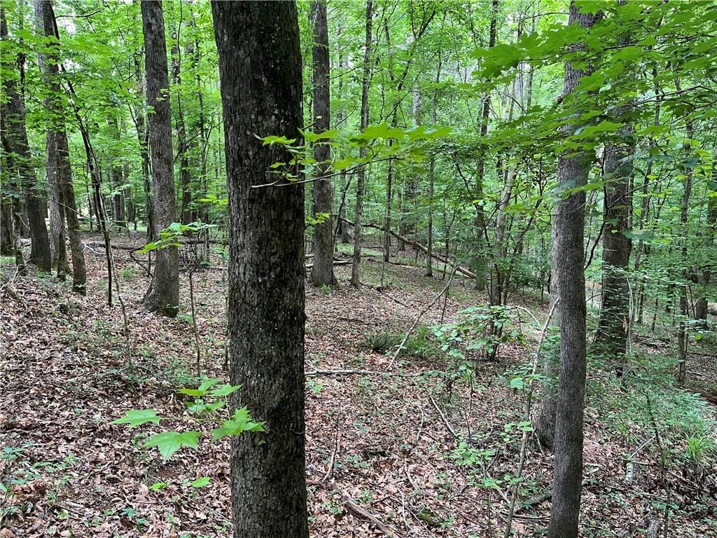 00 Lee Road 379, Salem, AL, 36874