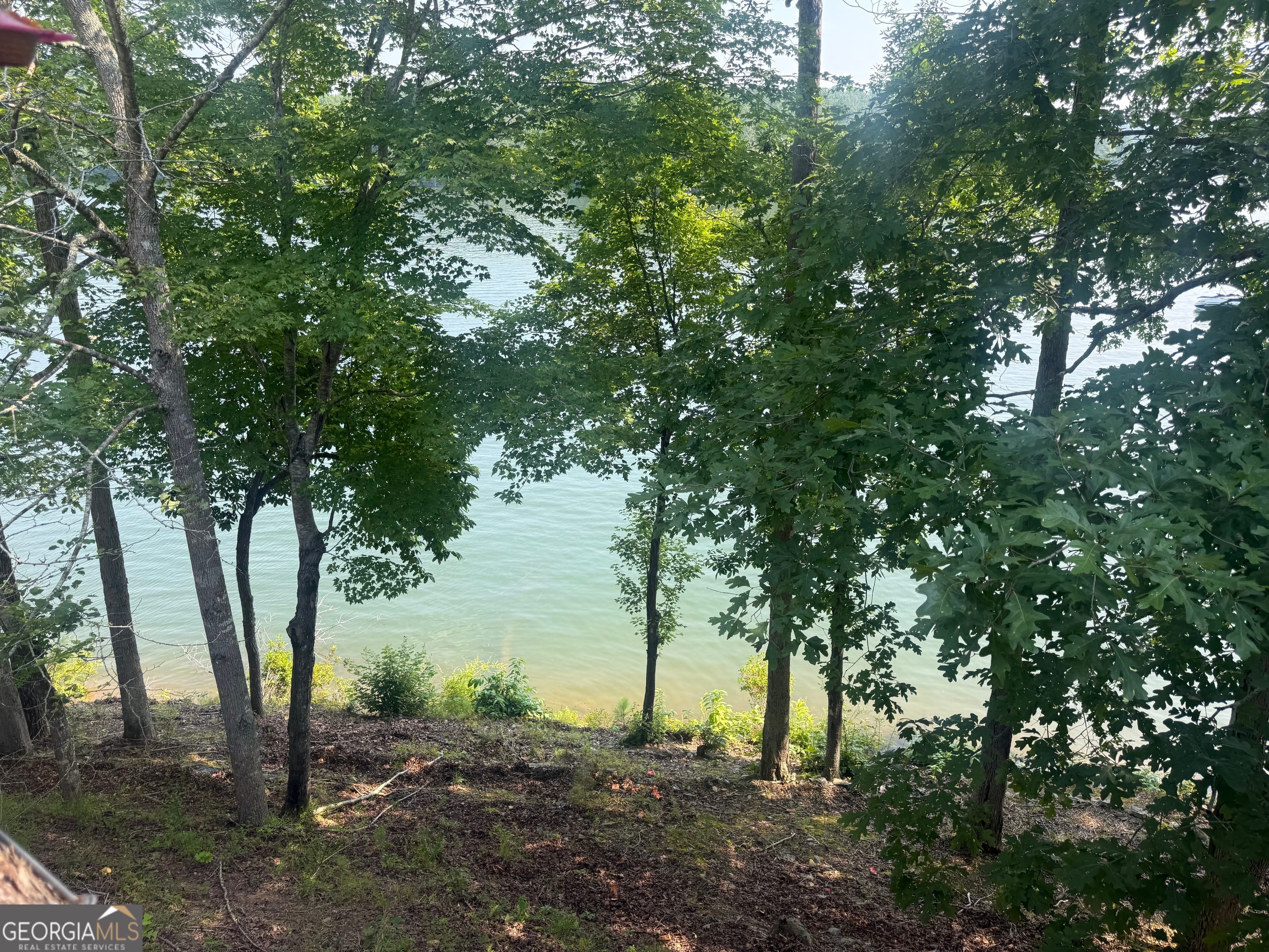 372 Pope Lane, Wedowee, AL 36278