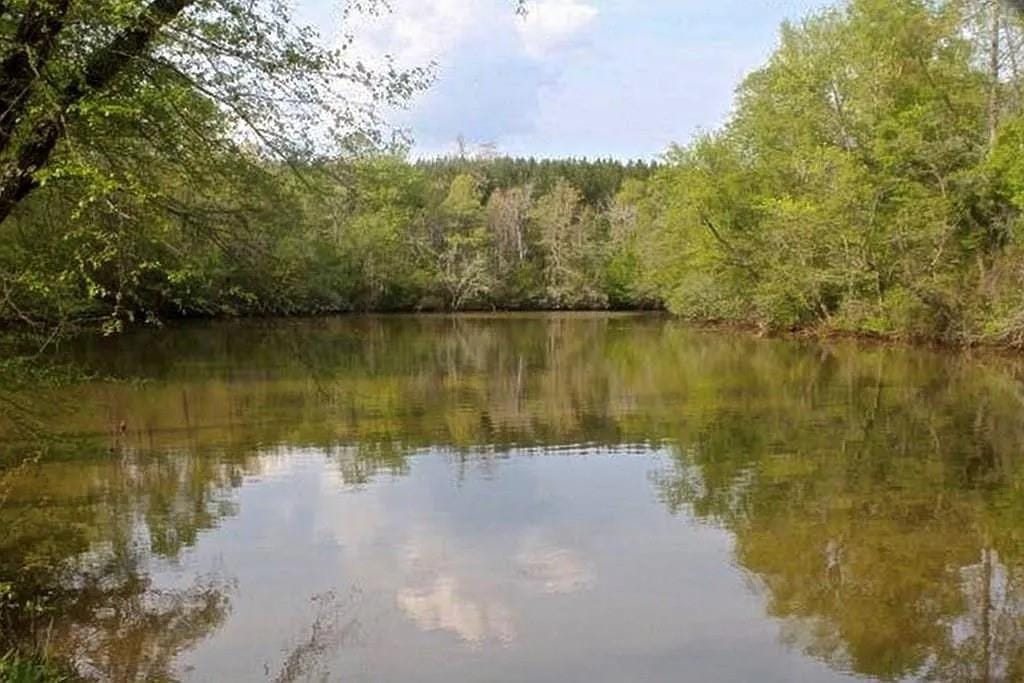 628 Lee County Road 889, Valley, AL, 36854 — Photo 3