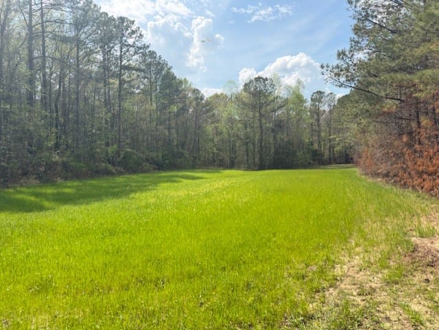 7241 COUNTY ROAD 22, Auburn, AL, 36830 — Photo 2