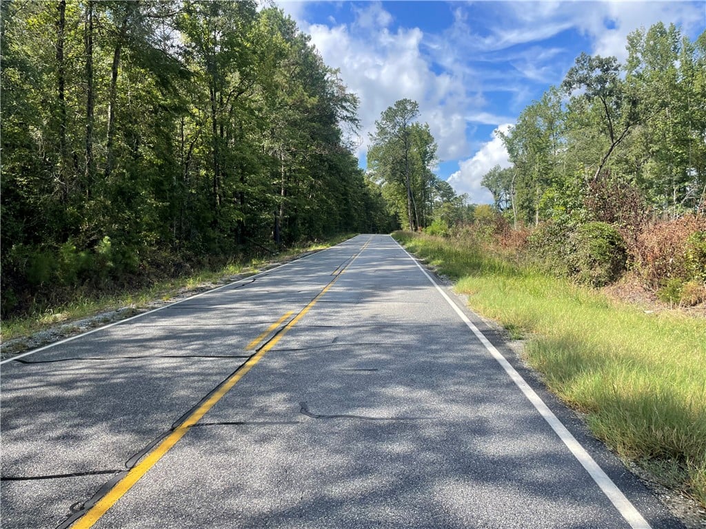 0 Lee Road 112, Opelika, AL, 36804