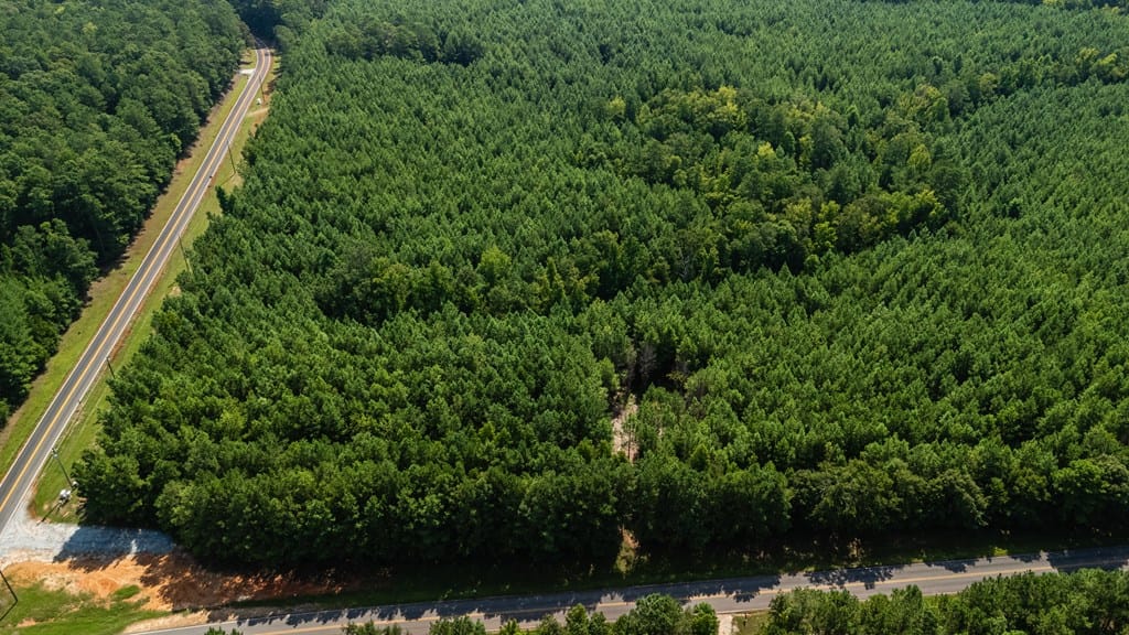 0 Fortune Hole Road East, Hamilton, GA, 31811 — Photo 3