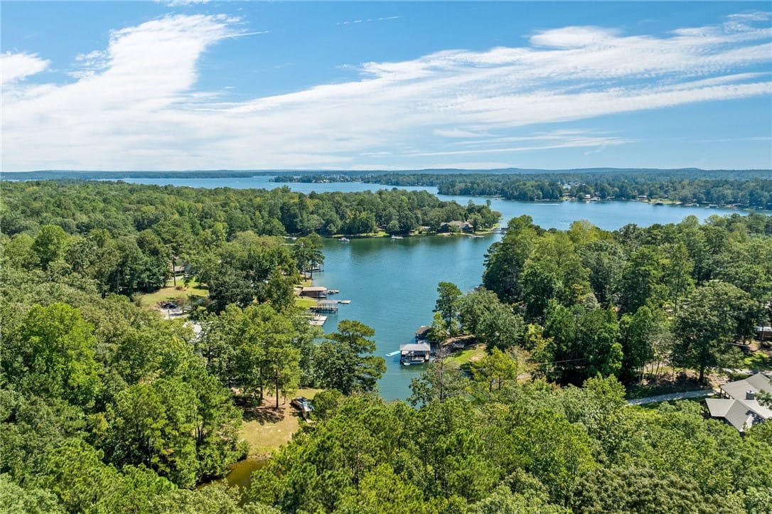 0 Lakeview Drive, Eclectic, AL, 36024 — Photo 2