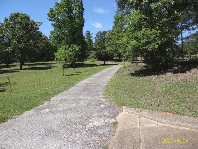 144 Old Sardis Church, Clayton, AL, 36016 — Photo 2