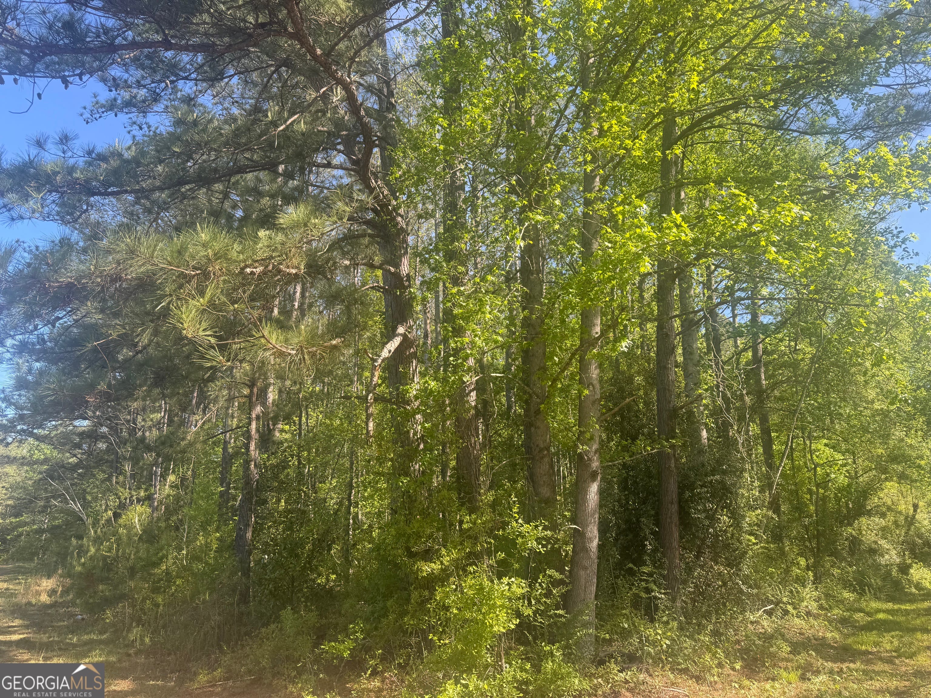 0 Satterwhite, Roanoke, AL, 36274