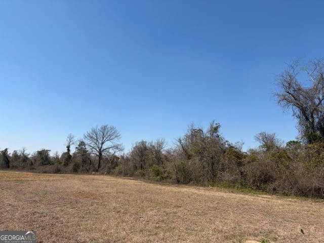 461 Henry Currington Rd, Mauk, GA 31058