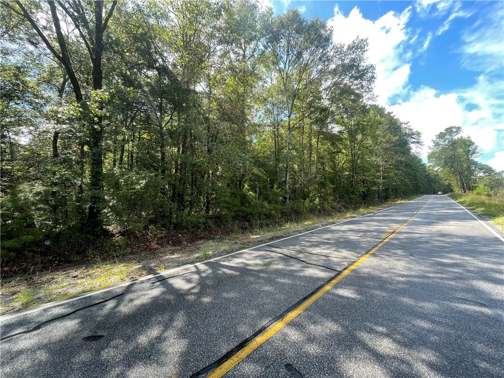 0 Lee Rd 112, Opelika, AL 36804