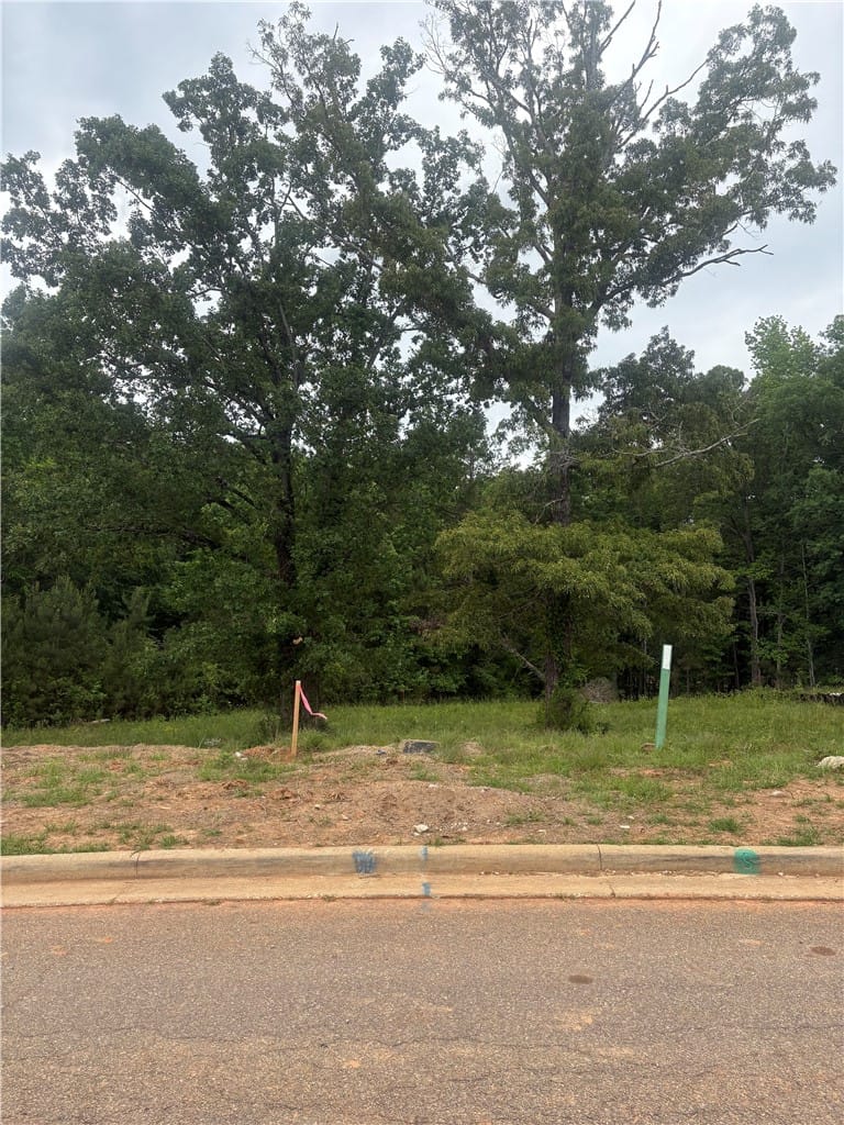 815 Summerlin Drive, Auburn, AL, 36830